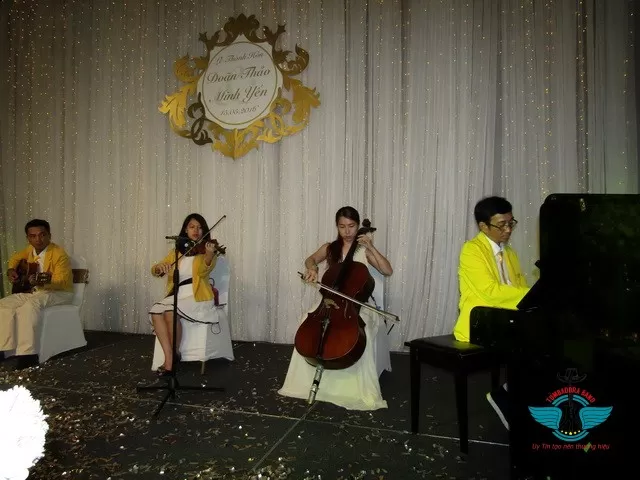 Chơi nhạc cụ đàn violon - Hành trình phát triển tâm hồn tuyệt vời