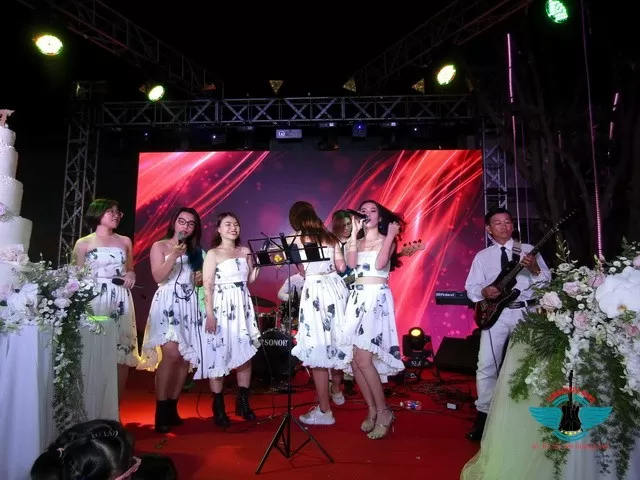 Hòa tấu violon tuyệt vời Những bản nhạc vang dội trong lòng người